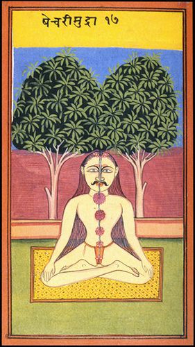 Yogi